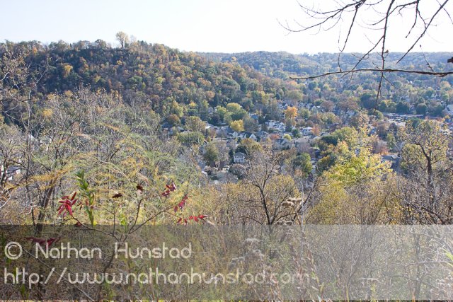 Red_Wing_2008-10-18_IMG_2420